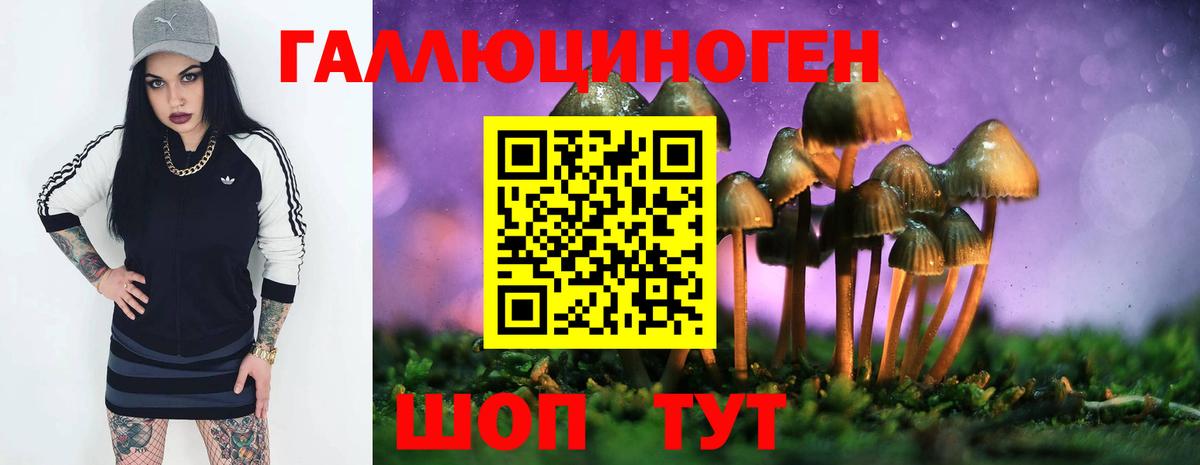 Галлюциногенные грибы GOLDEN TEACHER Ливны